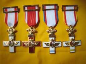 Medallas, insignias (18)